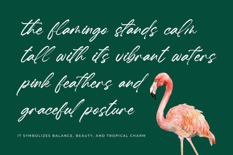 Hugetta Amphals - Elegant Brush Font Font Letterena Studios 