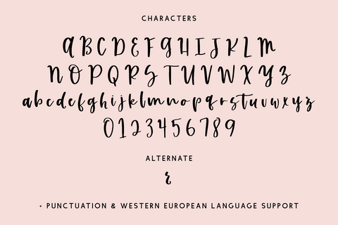 Humblebrag Script Font Beck McCormick 