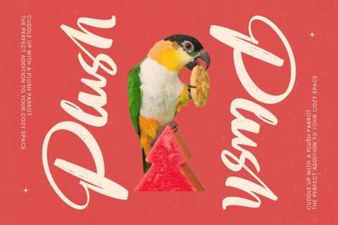 Huntail Peach - Bold Brush Font Font Letterena Studios 