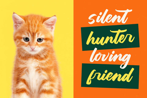 Hunting Gather - Bold Handwritten Font Font Letterena Studios 