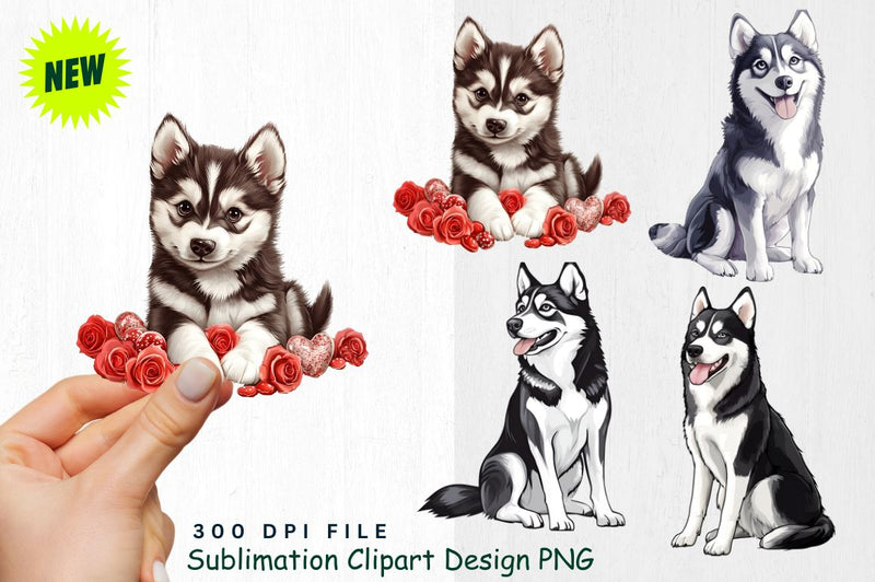 Husky Valentine Clipart Sublimation Regulrcrative 