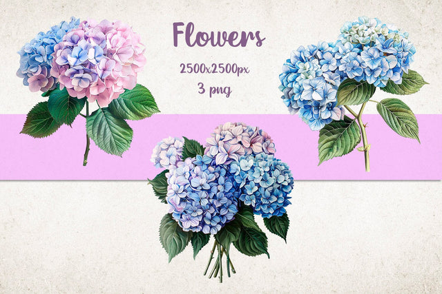 Hydrangea flowers set png, Floral clipart sublimation Sublimation AnastasiyaArtDesign 