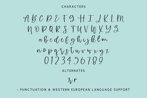 Hypnotic Script Font Beck McCormick 