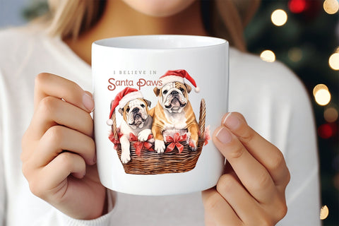 I Believe in Santa Paws, Funny Christmas Dog Saying PNG Sublimation CraftLabSVG 