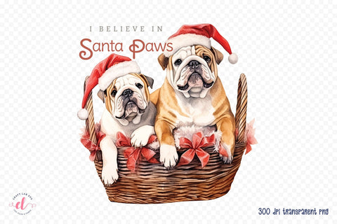 I Believe in Santa Paws, Funny Christmas Dog Saying PNG Sublimation CraftLabSVG 