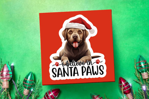 I believe in Sticker Design Sublimation Regulrcrative 