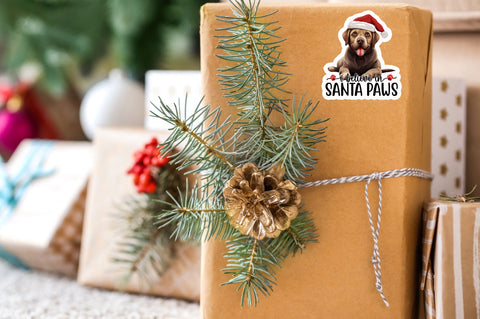 I believe in Sticker Design Sublimation Regulrcrative 