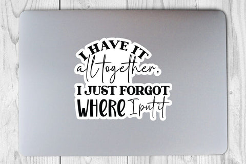 I have it all together I just forgot where I put it SVG Angelina750 