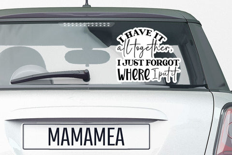 I have it all together I just forgot where I put it SVG Angelina750 