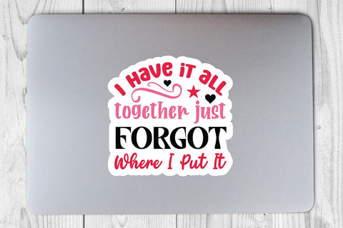 I have it all together just forgot where i put it SVG Angelina750 