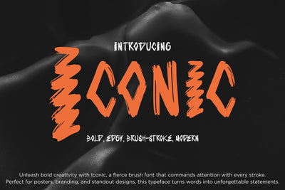 Iconic Font Dm Letter Studio 