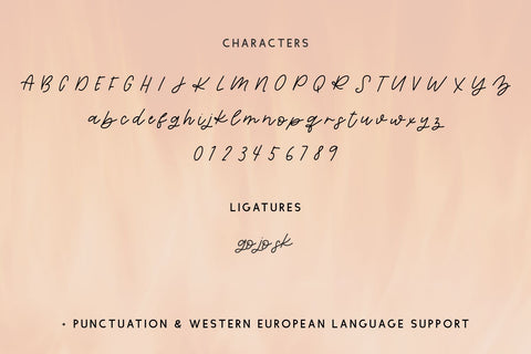 Ignited Script Font Beck McCormick 