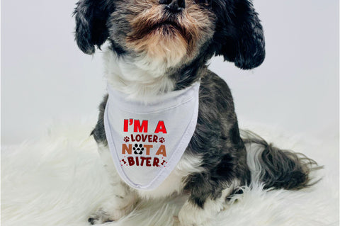Im a lover not a biter SVG Design SVG Regulrcrative 