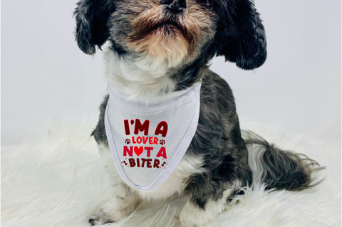 Im a lover not a biter SVG Design SVG Regulrcrative 