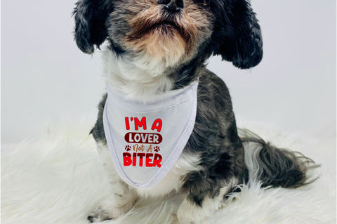 Im a lover not a biter SVG Design SVG Regulrcrative 