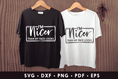 I'm Nicer Than My Face Looks - Sarcastic SVG SVG CraftLabSVG 