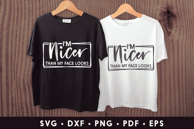 I'm Nicer Than My Face Looks - Sarcastic SVG SVG CraftLabSVG 