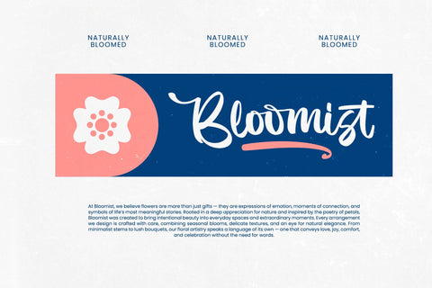 Imagine Sunday - Bold Handwritten Font Font Letterena Studios 