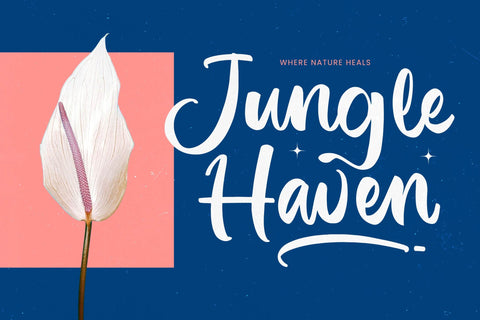 Imagine Sunday - Bold Handwritten Font Font Letterena Studios 