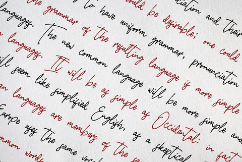 imestaviga-signature-07-.jpg