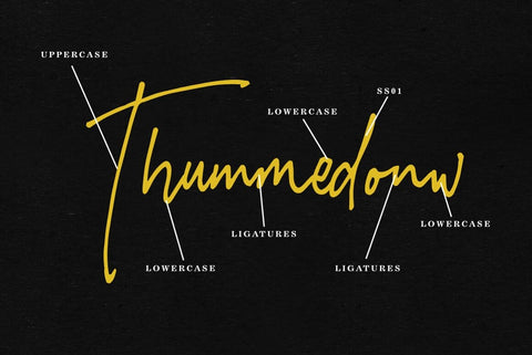 Imestaviga Signature Typeface Font Fadeline Std. 