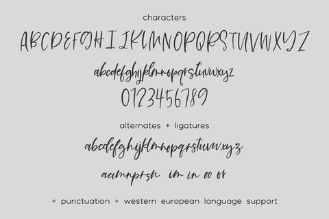 Impulsive Script Font Beck McCormick 