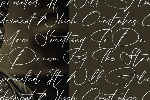 Infinites Flame - Modern Signature Script Font Letterena Studios 