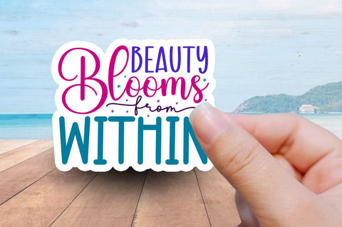 Inspirational and Motivational Sticker Bundle Sublimation Regulrcrative 