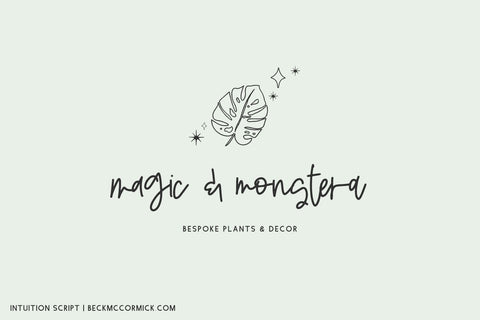 Intuition Script Font Beck McCormick 