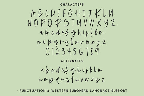 Intuition Script Font Beck McCormick 