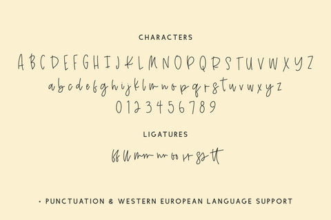 Island Sun Script Font Font Beck McCormick 