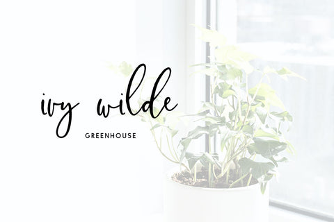 Islay Script Font Beck McCormick 