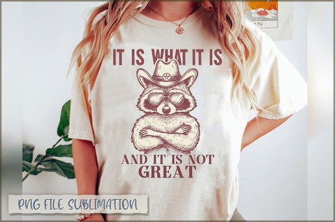 It is what it is and it is not great sublimation Sublimation Shetara Begum 