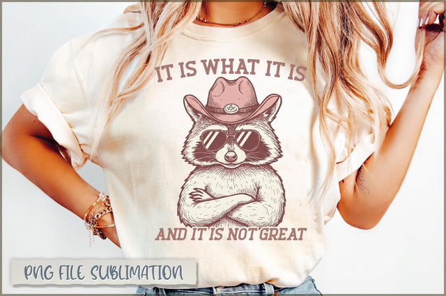 It is what it is and it is not great Sublimation Sublimation Shetara Begum 