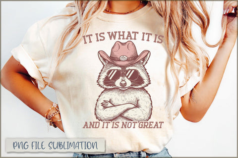 It is what it is and it is not great Sublimation Sublimation Shetara Begum 