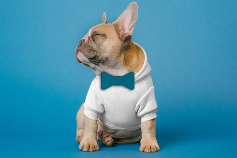 ITH Pet Collar Bow Tie Slider Applique Embroidery Embroidery/Applique DESIGNS Designed by Geeks 