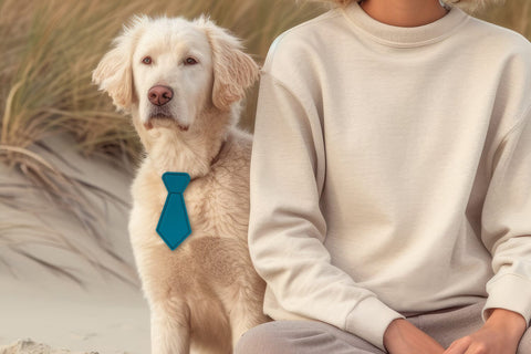 ITH Pet Collar Tie Slider Applique Embroidery Embroidery/Applique DESIGNS Designed by Geeks 