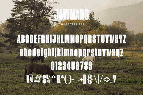Javinaro - Modern Condensed Sans Font studioalmeera 