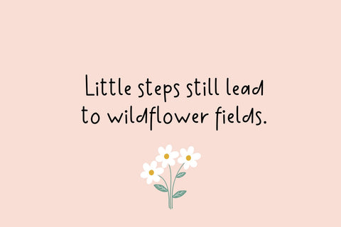 Jellyfish Font Cotton White Studio 