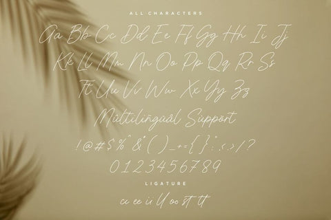 Jemaritta Signature Font Allouse.Studio 