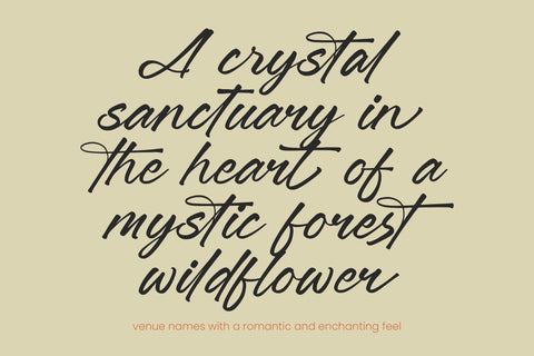 Jonthay Stattera - Modern Script Font Type Font Letterena Studios 