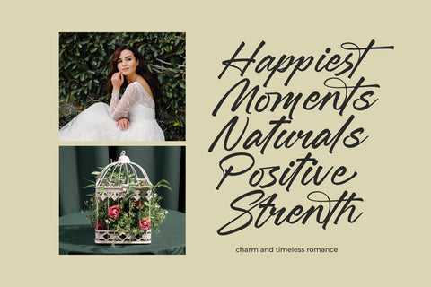 Jonthay Stattera - Modern Script Font Type Font Letterena Studios 