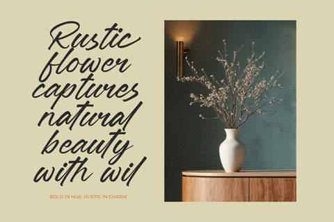 Jonthay Stattera - Modern Script Font Type Font Letterena Studios 