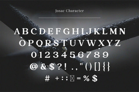 Josac - Nostalgic Serif Font Font studioalmeera 