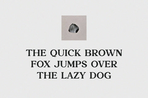 Josac - Nostalgic Serif Font Font studioalmeera 