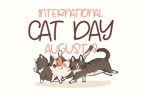 Joyful Reason - Playful Display Font Font Mozzatype 