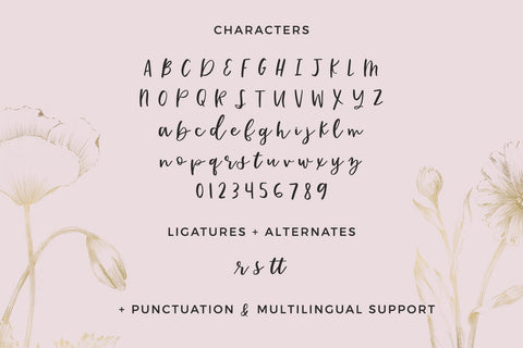 Katiekate Calligraphy Font Duo Font Beck McCormick 
