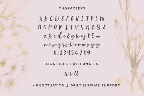 Katiekate Calligraphy Font Duo Font Beck McCormick 