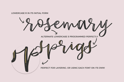 Katiekate Calligraphy Font Duo Font Beck McCormick 