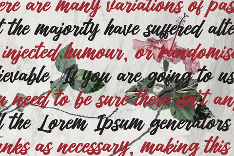 Kedmote Script Typeface Font Fadeline Std. 